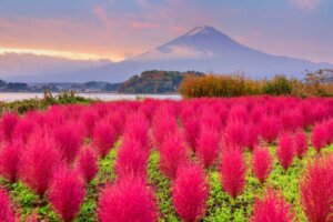 あなたの理想の家への一歩をサポート