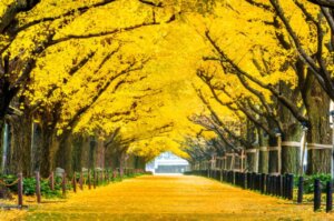 予算に応じたリビングデザインの実例と次のステップ